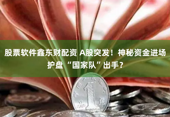 股票软件鑫东财配资 A股突发！神秘资金进场护盘 “国家队”出手？