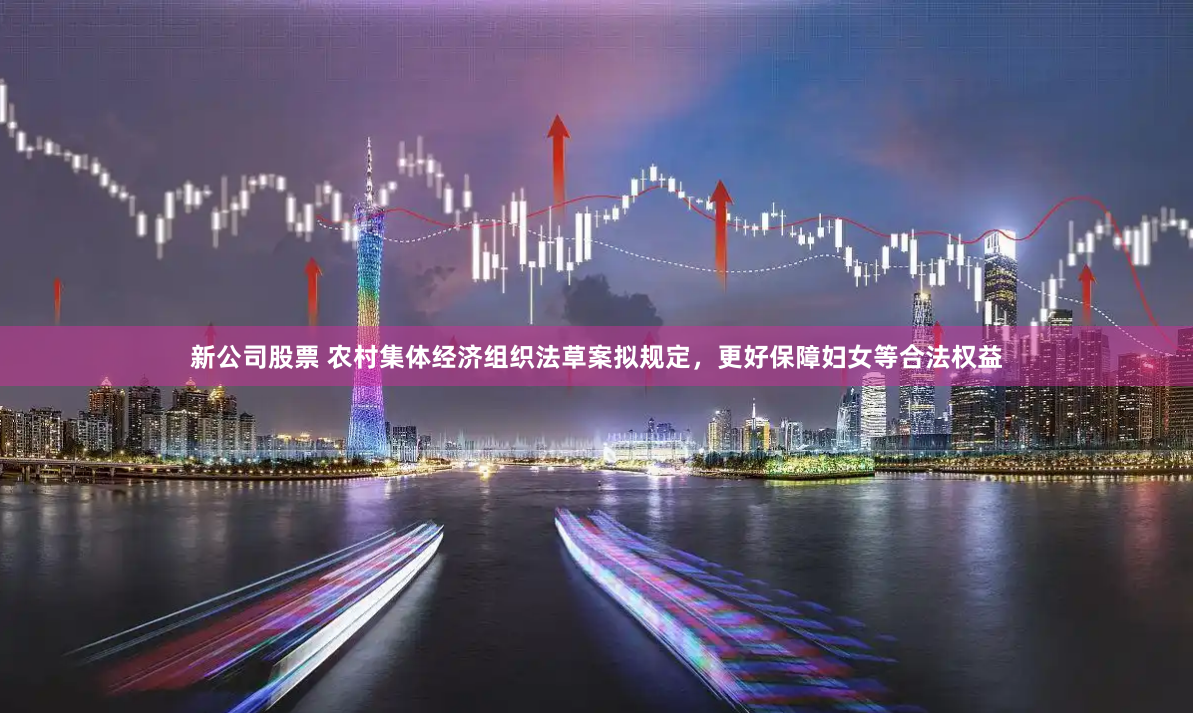 新公司股票 农村集体经济组织法草案拟规定，更好保障妇女等合法权益