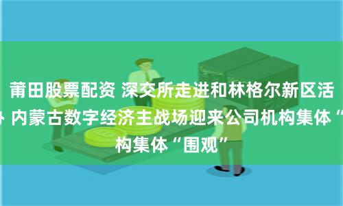 莆田股票配资 深交所走进和林格尔新区活动举办 内蒙古数字经济主战场迎来公司机构集体“围观”