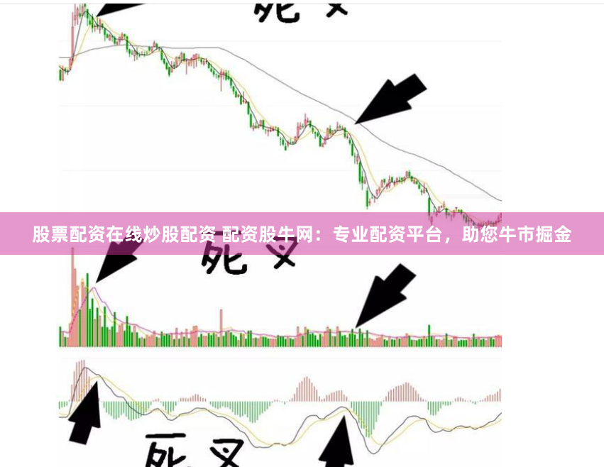 股票配资在线炒股配资 配资股牛网：专业配资平台，助您牛市掘金