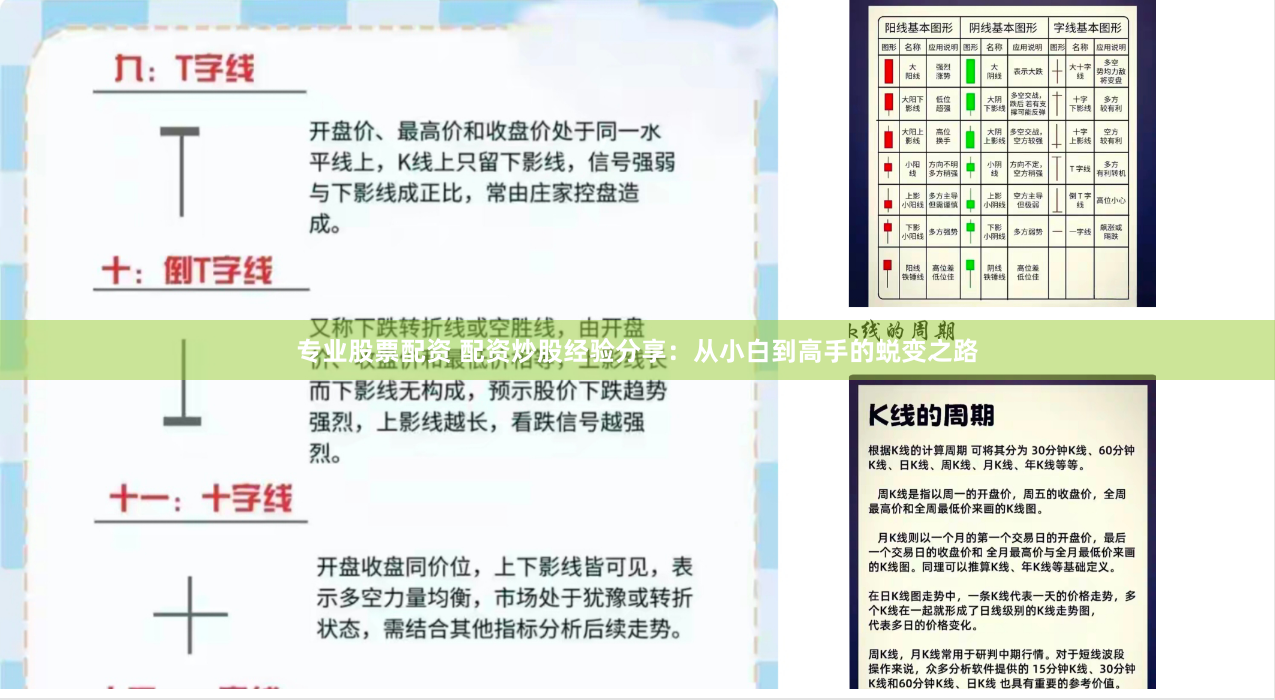 专业股票配资 配资炒股经验分享：从小白到高手的蜕变之路